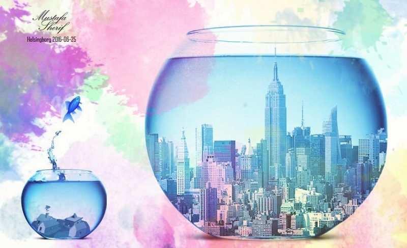 Bild: Mustafa Sherif Bild: Mustafa Sherif