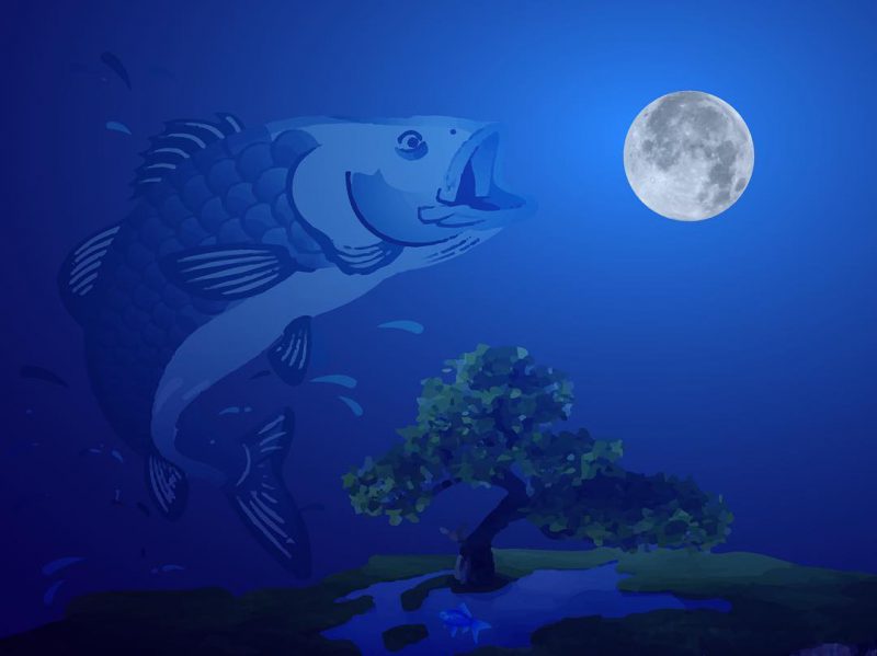 Graphic design, Dream BIG , Dream fish Graphic design, Dream BIG , Dream fish